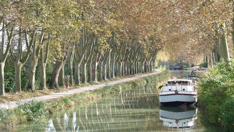 Les Gardenias Bed & Breakfast Toulouse Eksteriør bilde